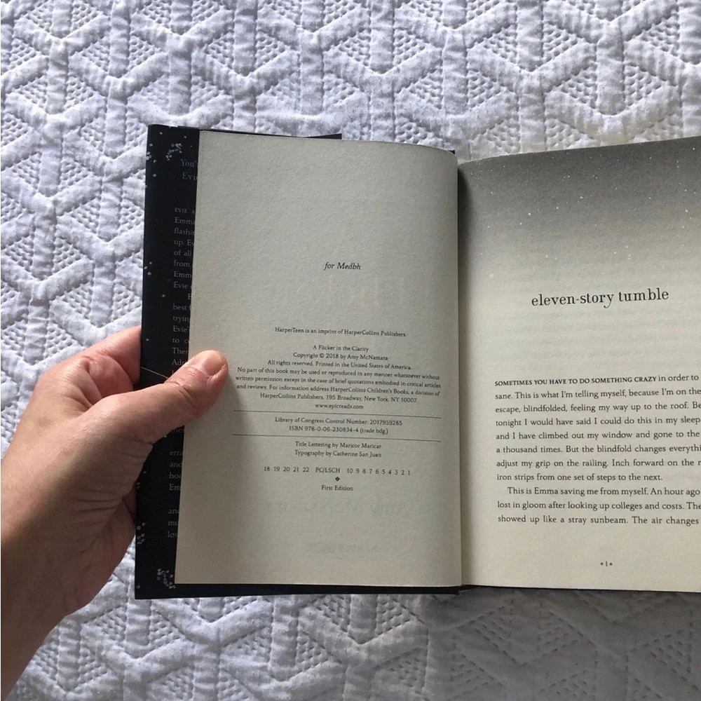 A Flicker in the Clarity by Amy McNamara First Edition First Printing Hardcover